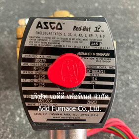 Asco Red Hat Rebuild Kit No.302379 (Explosion Proof)